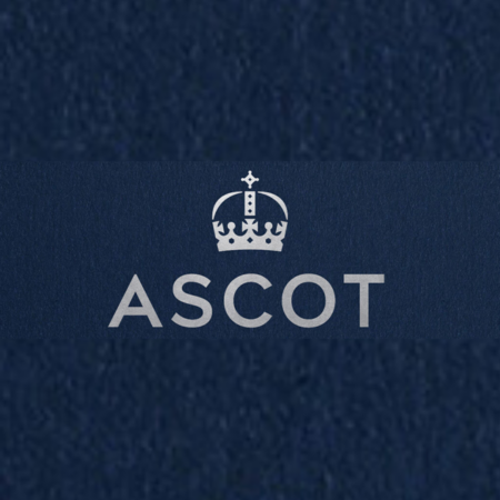 CopyBet Inks Major Sponsorship Deal with Ascot Racecourse for November Racing Weekend