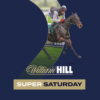 William Hill Named Official Sponsor of Super Saturday at Newbury Racecourse