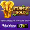Unleash the Adventure with Stampede Gold: Juicy Stakes Casino Offers Free Spins from May 31st to June 3rd